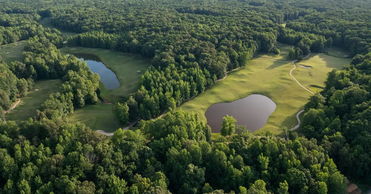 Aerial view of the wooded landscape and lakes at Village Creek State Park