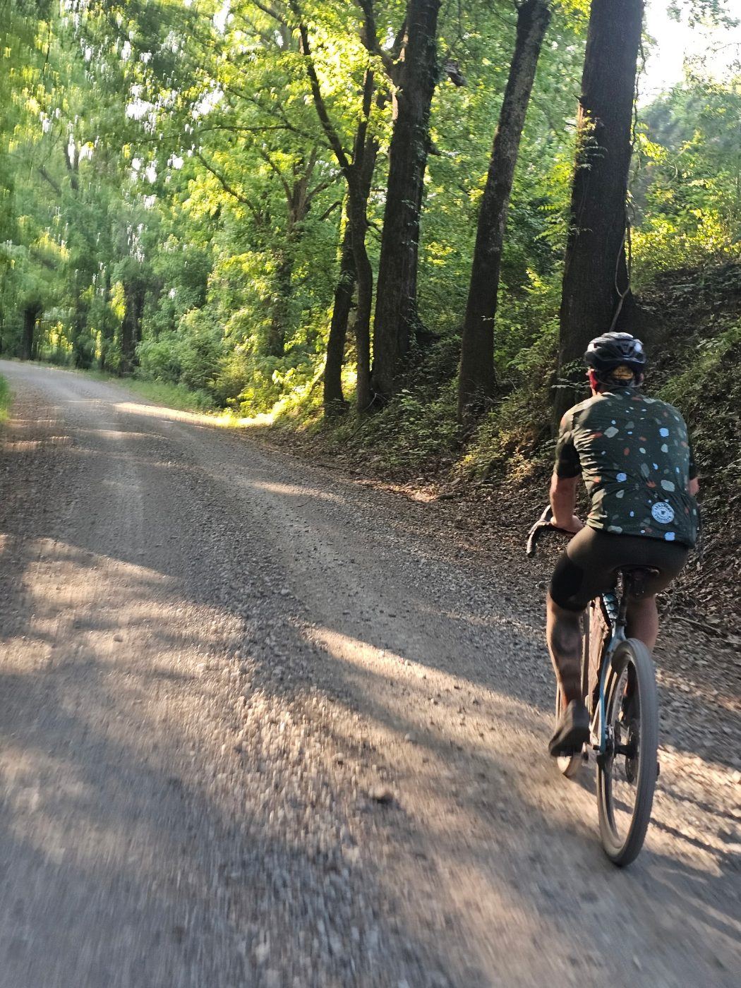 A rider on a gravel road cut in under heavy tree cover